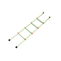 Fiamma Deluxe 5R Aluminium Ladder With Hooks