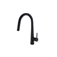 Camec U Shape Black Kitchen Mixer Tap